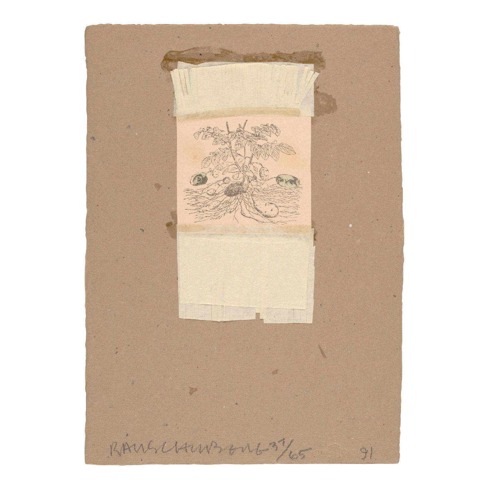 Robert Rauschenberg - Shirtboard (from Shirtboards Morocco, Italy '52 Portfolio) (1 of 1)