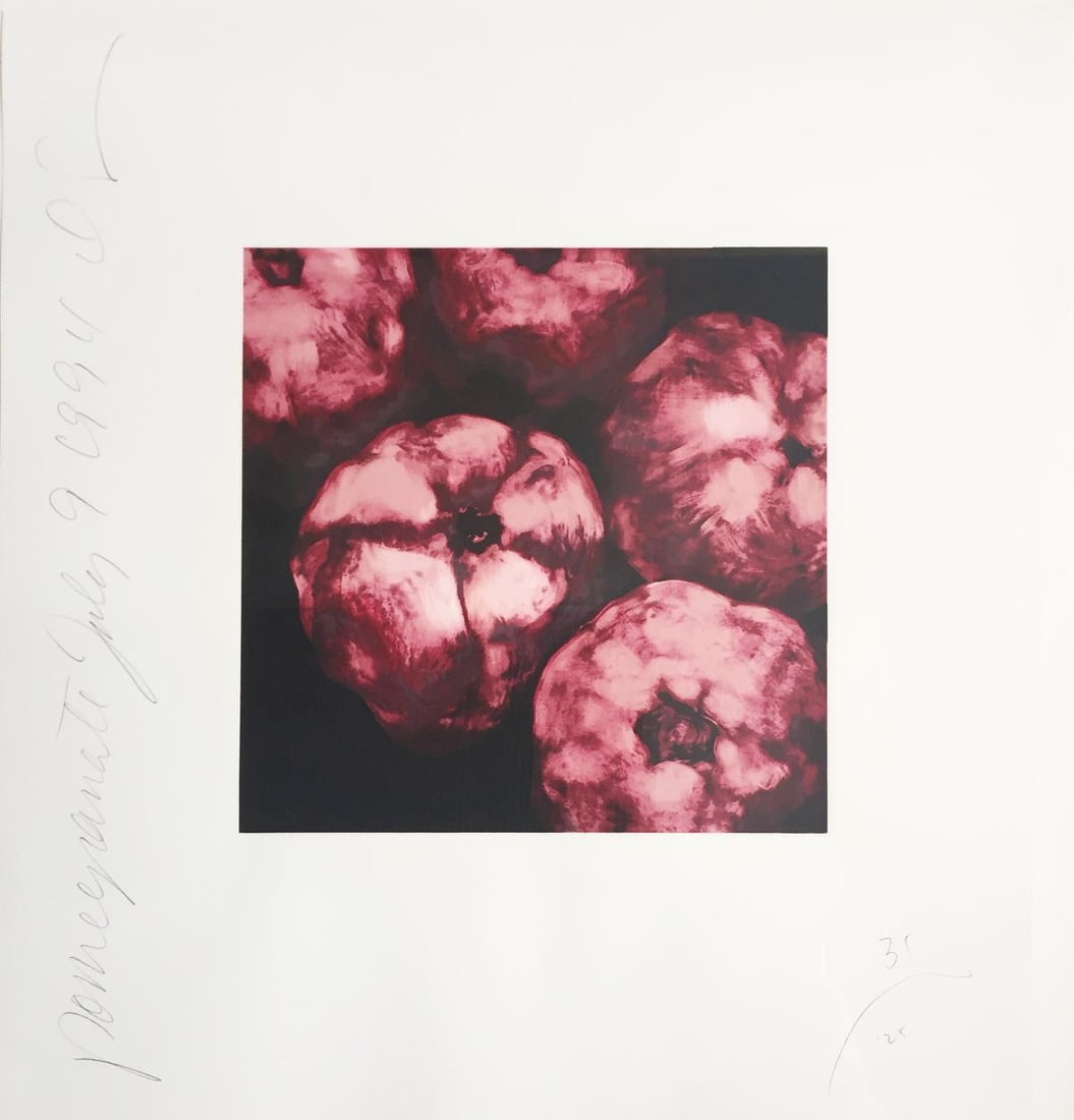 Donald Sultan - Pomegranates: Artist: Donald SultanTitle: PomegranatesYear: 1994Dimensions: 23in. by 23in.Edition: From the rare limited edition of 125Medium: Original serigraphCondition: ExcellentSignature Details: Hand signed