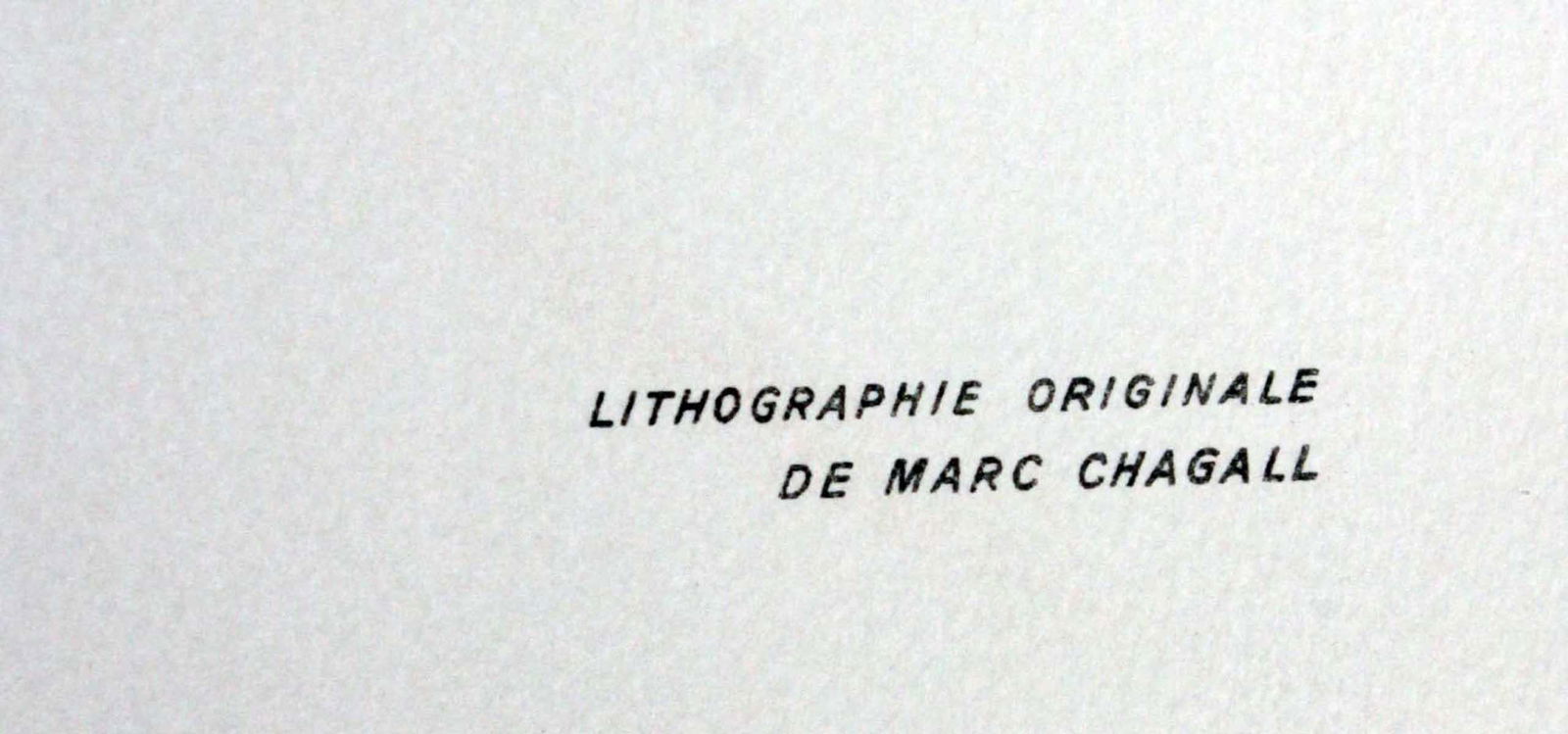 Marc Chagall - Flight - 2