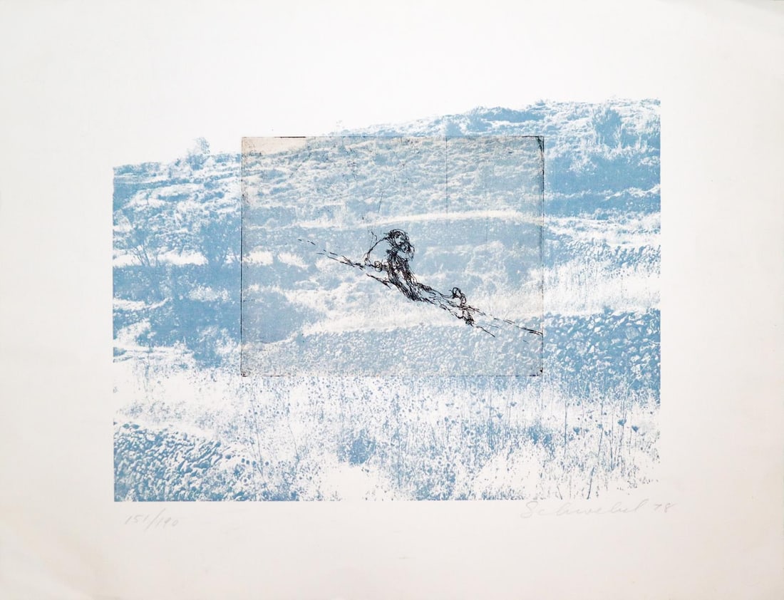 Ivan Schwebel - Untitled - 2