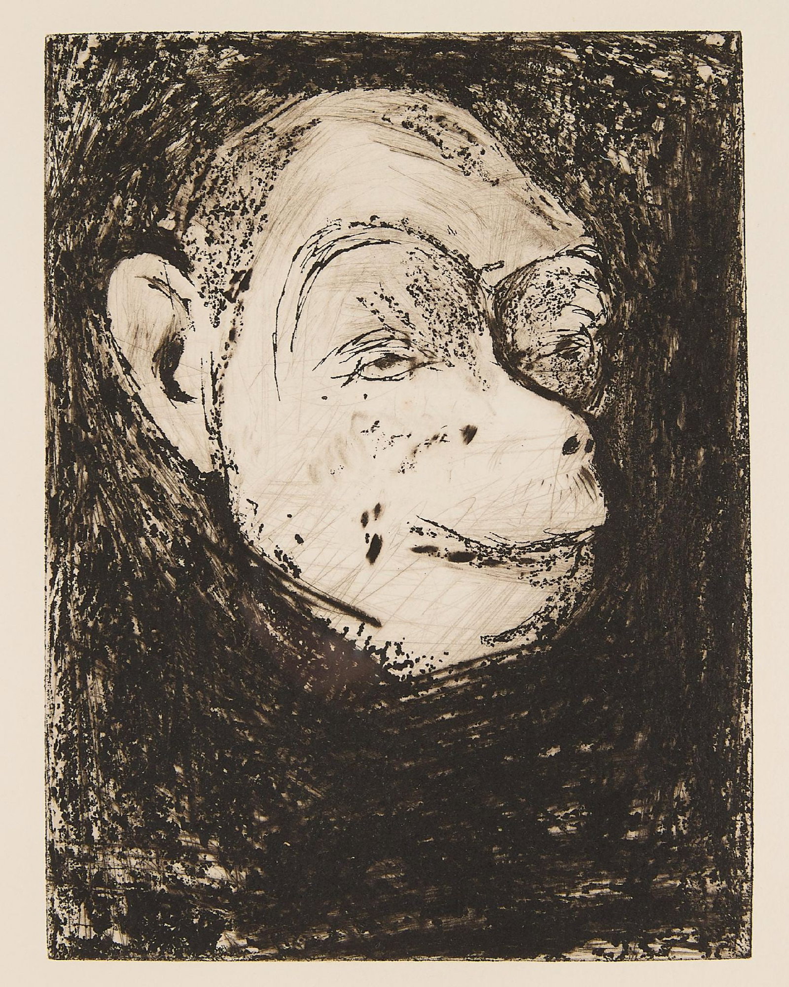 Jim Dine - 9 Studies for Winter Dream (Monkey) (1 of 2)