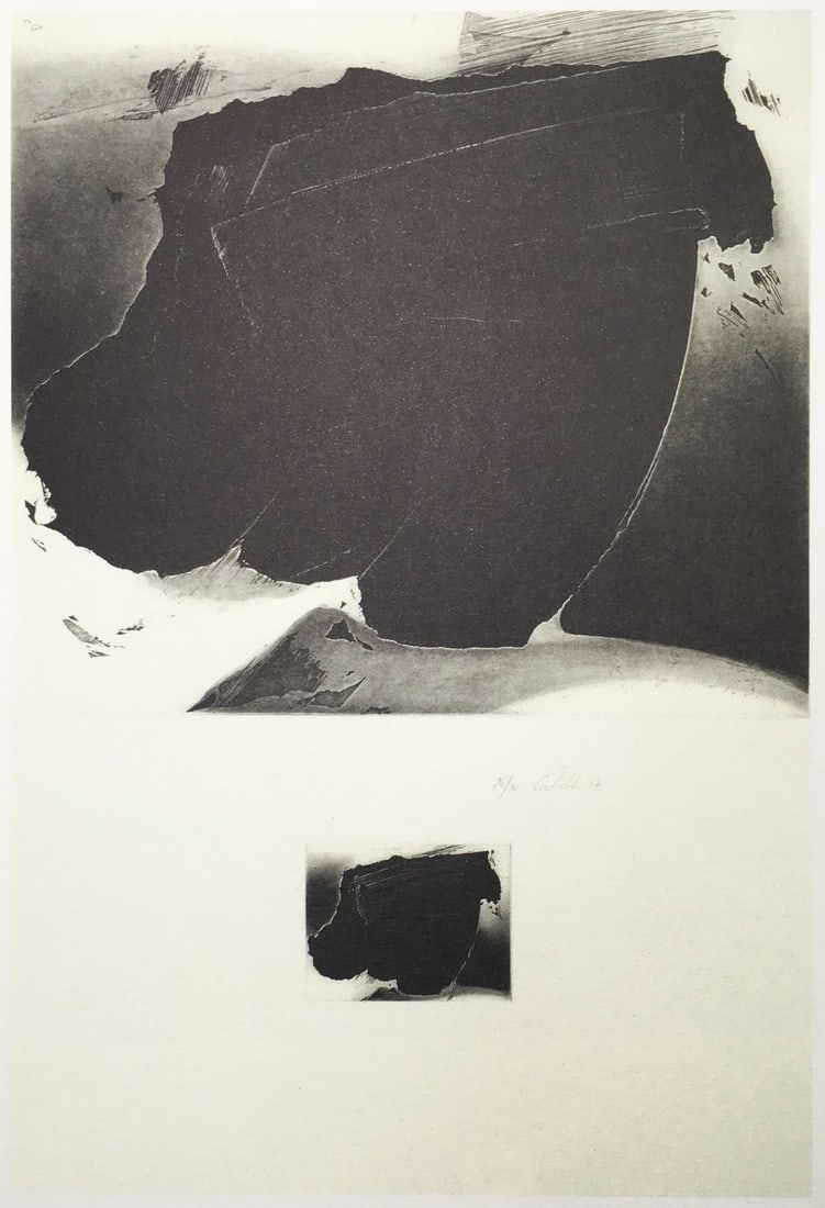 Christiane Vielle - Identification 5: Artist: Christiane Vielle Title: Identification 5 Year: 1990 Dimensions: 13 1/2in. by 9 1/4in. Edition: From the Rare Limited Edition Publisher: Credit Lyonnais Foundation Suite: Graveurs