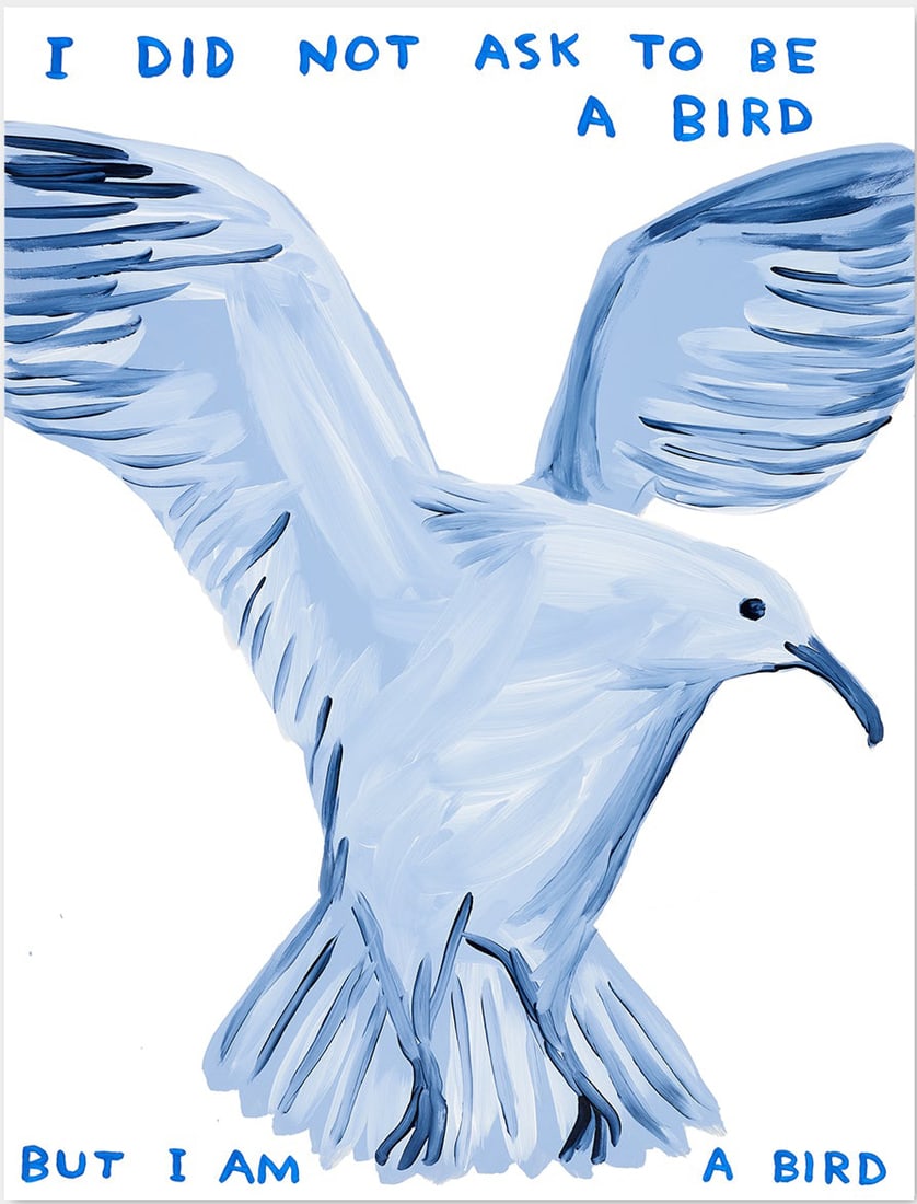 David Shrigley - I Did Not Ask To Be A Bird: Artist: David Shrigley Title: I Did Not Ask To Be A Bird Year: 2021 Dimensions: 23 5/8 x 31 1/2 in. Edition: From the Rare Limited Edition Publisher: Shrig Shop