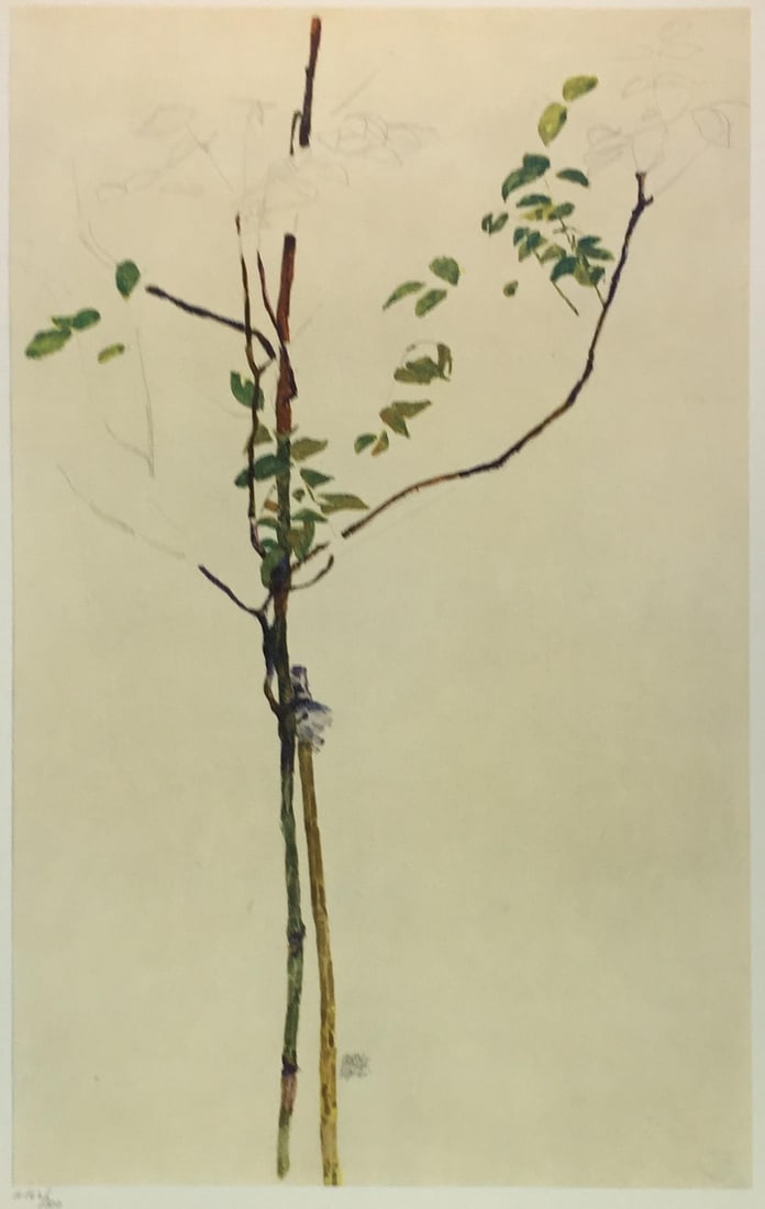 Egon Schiele (After) - Young Tree (1 of 1)