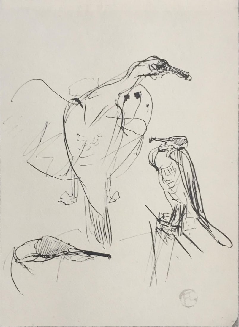 Henri Toulouse-Lautrec (After) - Sea Birds: Artist: Henri Toulouse-Lautrec (After) Title: Sea Birds Year: 1930 Dimensions: 12in. by 17in. Edition: V from the rare limited edition of X Publisher: Chez Hell