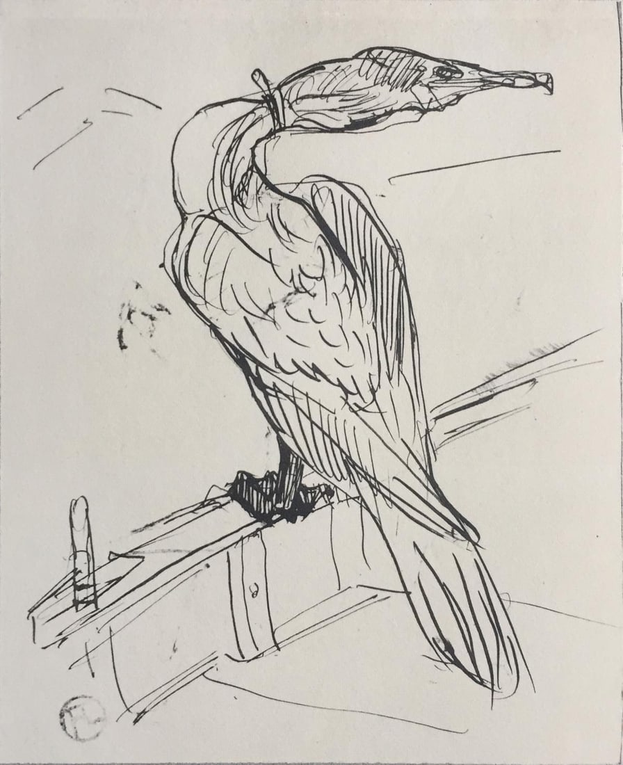 Henri Toulouse-Lautrec (After) - Sea Bird: Artist: Henri Toulouse-Lautrec (After) Title: Sea Bird Year: 1930 Dimensions: 12in. by 17in. Edition: V from the rare limited edition of X Publisher: Chez Helle