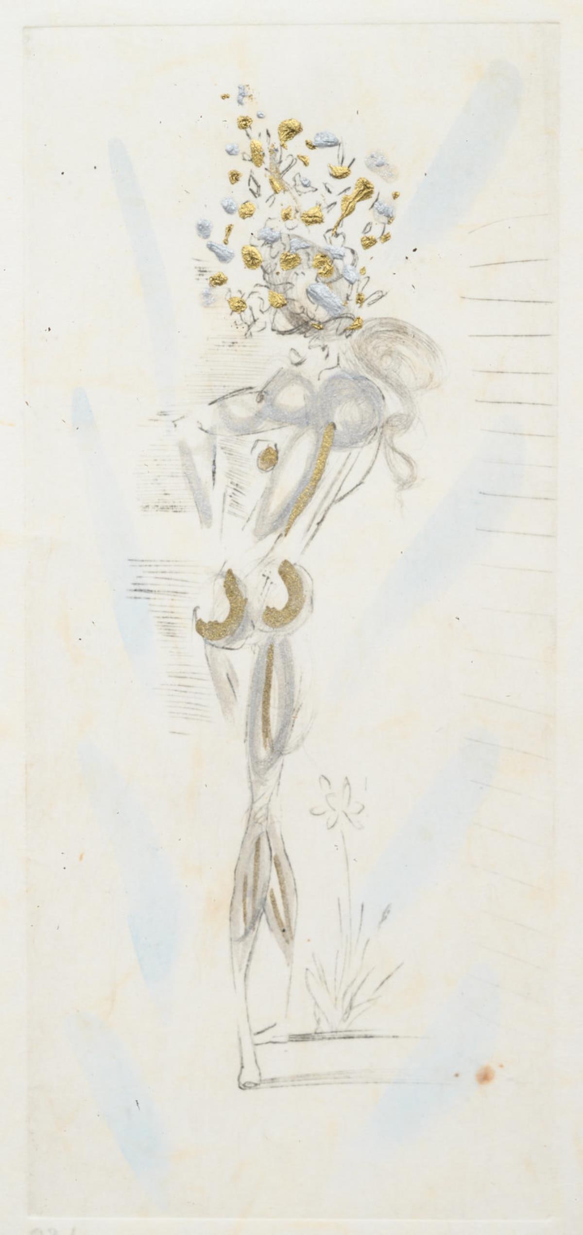 Salvador Dali - Petites Nus II: Artist: Salvador Dali Title: Petites Nus II Dimensions: 7in. by 3 1/2in. Edition: From the rare limited edition of 95 Suite: Apollonaire Medium: Original Watercoloured Etching on Japan Paper