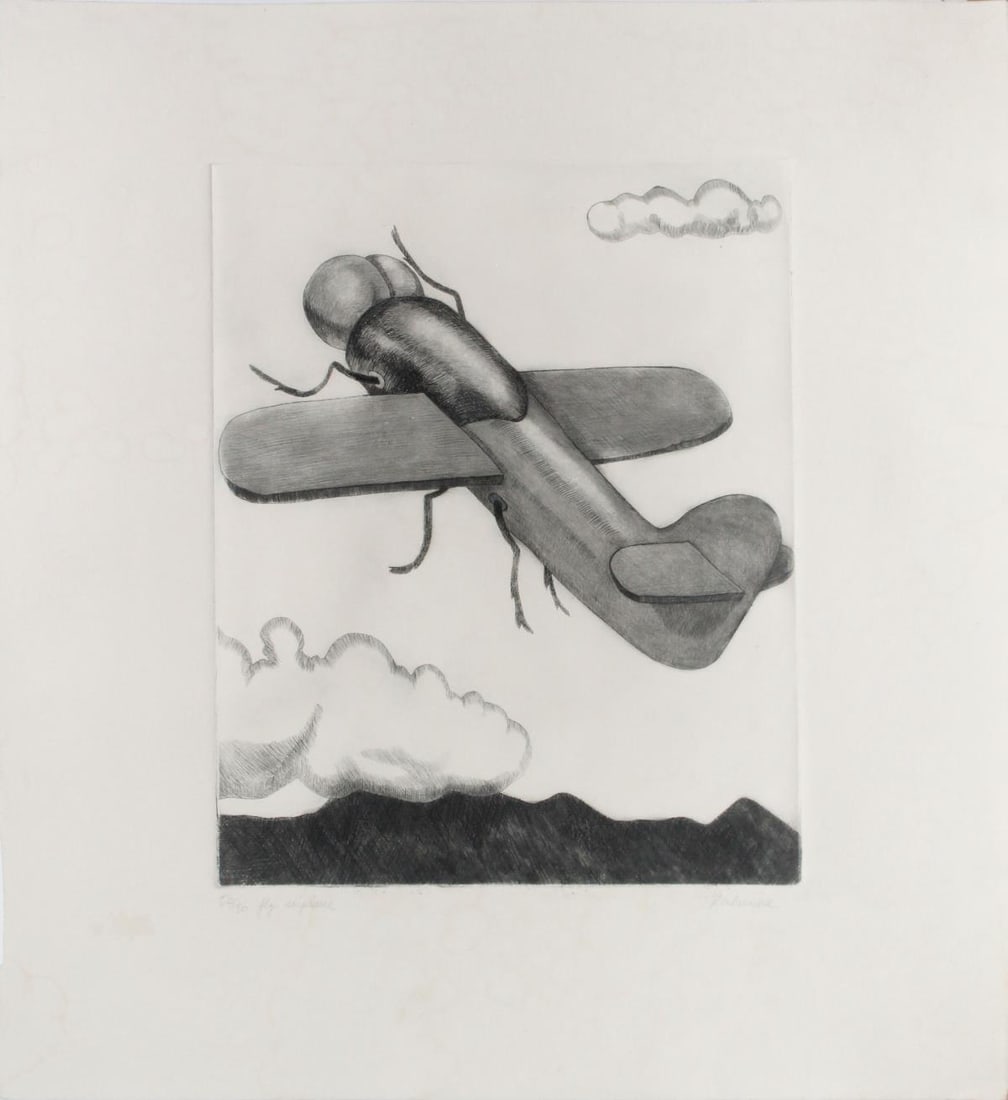 Tom Palmore - Fly Plane (1 of 3)