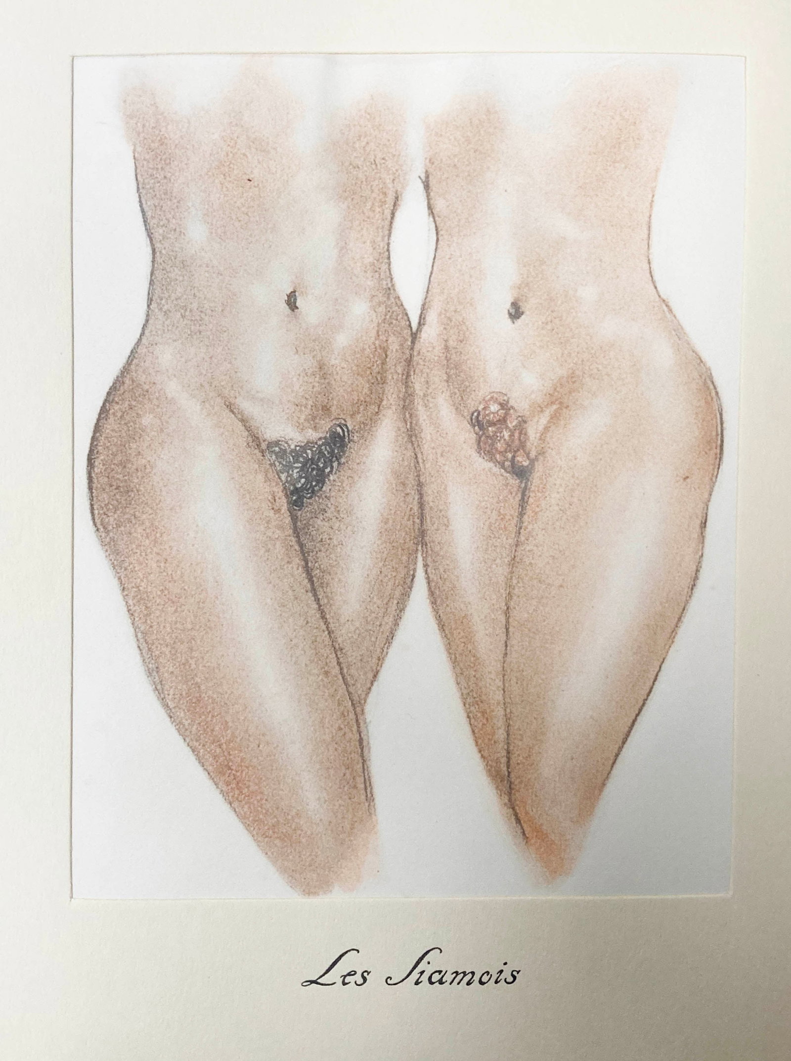 Edouard Chimot - Les Siamois: Artist: Edouard Chimot Title: Les Siamois Year: 1932 Dimensions: 6 1/4in. by 8in. Edition: From the rare limited edition of 250 Suite: Les Chats Medium: Original Condition: Excellent Notes: