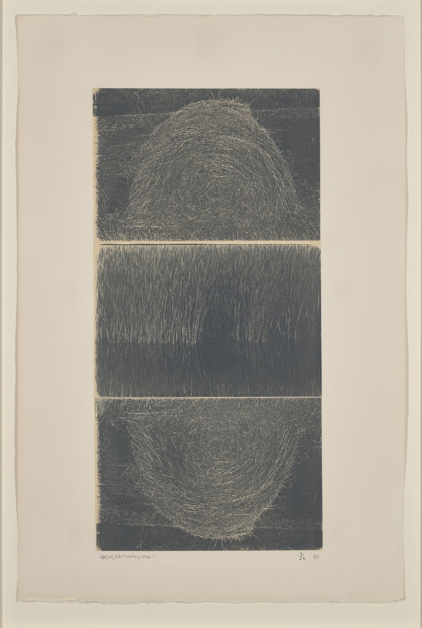 Robert Rauschenberg - The Razorback Bunch: Etching II (1 of 1)