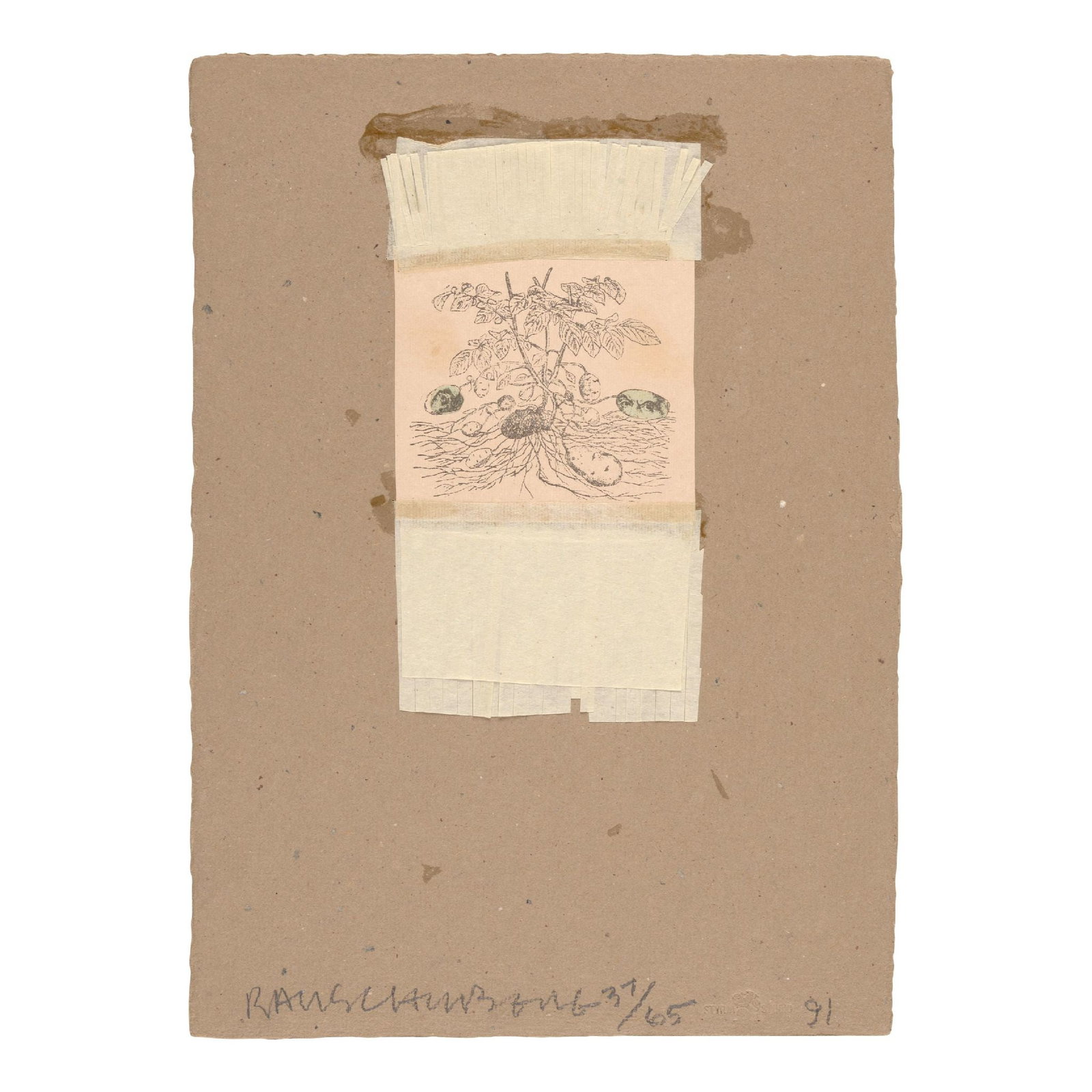Robert Rauschenberg - Shirtboard (from Shirtboards Morocco, Italy '52 Portfolio): Artist: Robert Rauschenberg Title: Shirtboard (from Shirtboards Morocco, Italy '52 Portfolio) Year: 1991 Dimensions: 15 1/4 x 10 7/8 in. Edition: 37 from the limited edition of 65 Publisher: Styria