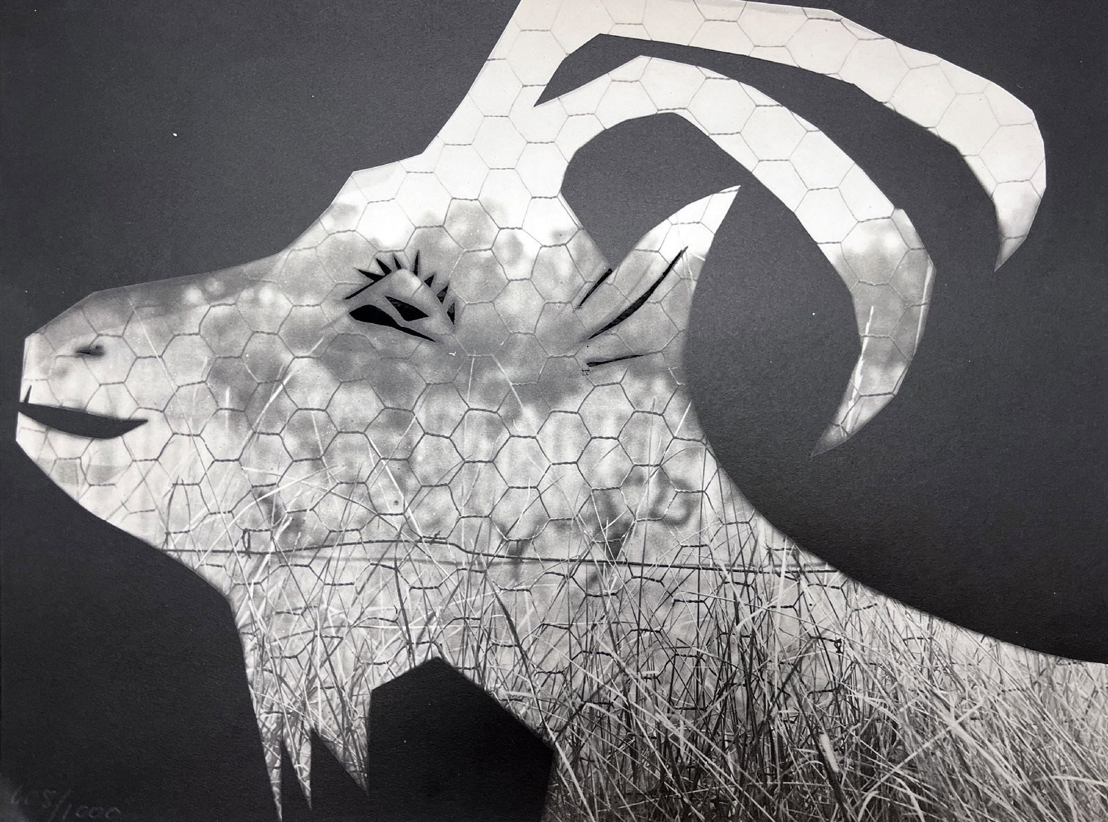 Pablo Picasso - La Chevre aux Gravois: Artist: Pablo Picasso Title: La Chevre aux Gravois Year: 1962 Dimensions: 12 x 16 in. Edition: From the rare limited edition of 1000 Publisher: Berggruen Suite: lithographe Medium: Lithograph on