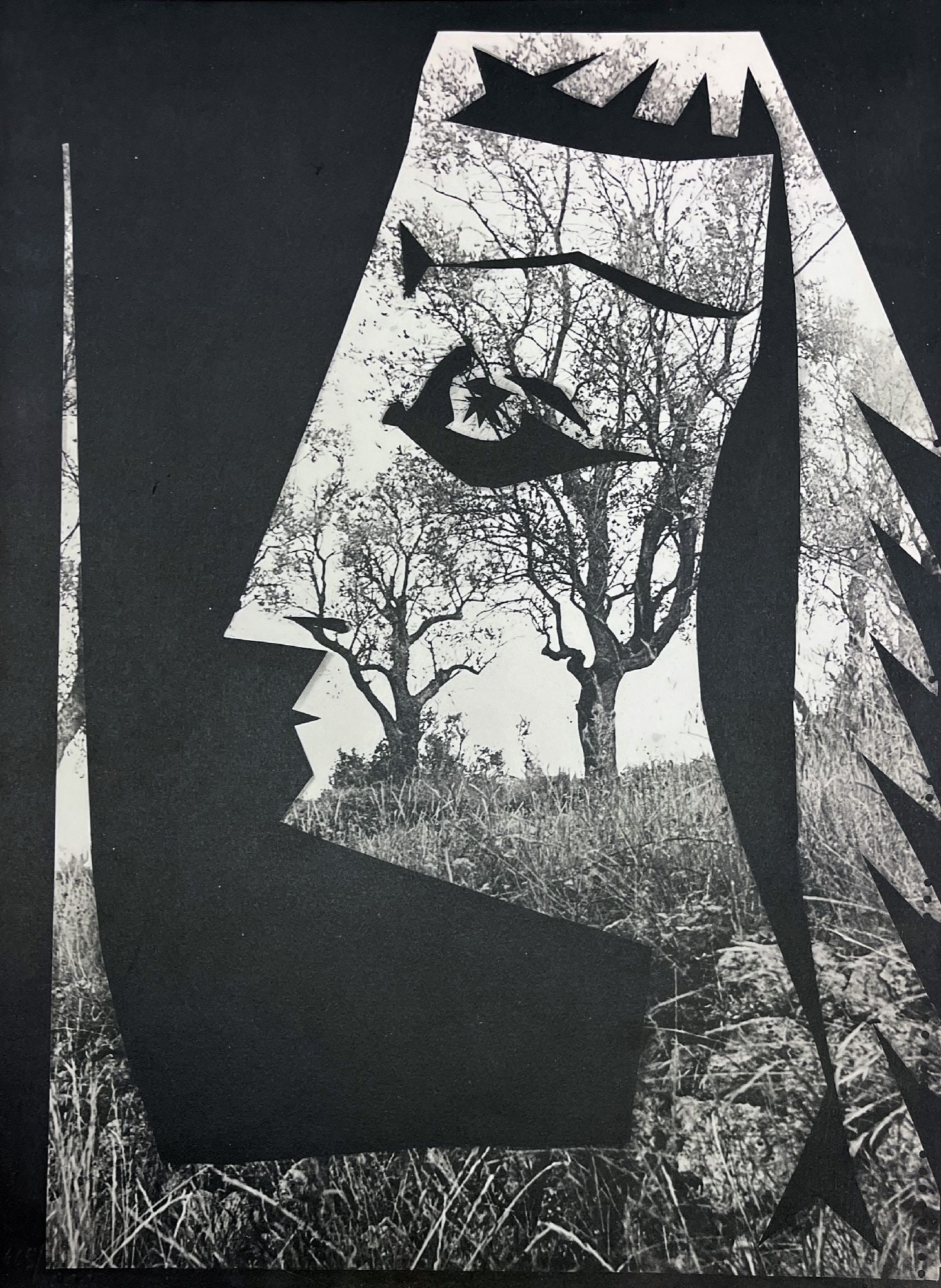 Pablo Picasso - Jacqueline with trees: Artist: Pablo Picasso Title: Jacqueline with trees Year: 1962 Dimensions: 12 x 16 in. Edition: From the rare limited edition of 1000 Publisher: Berggruen Suite: lithographe Medium: Lithograph on