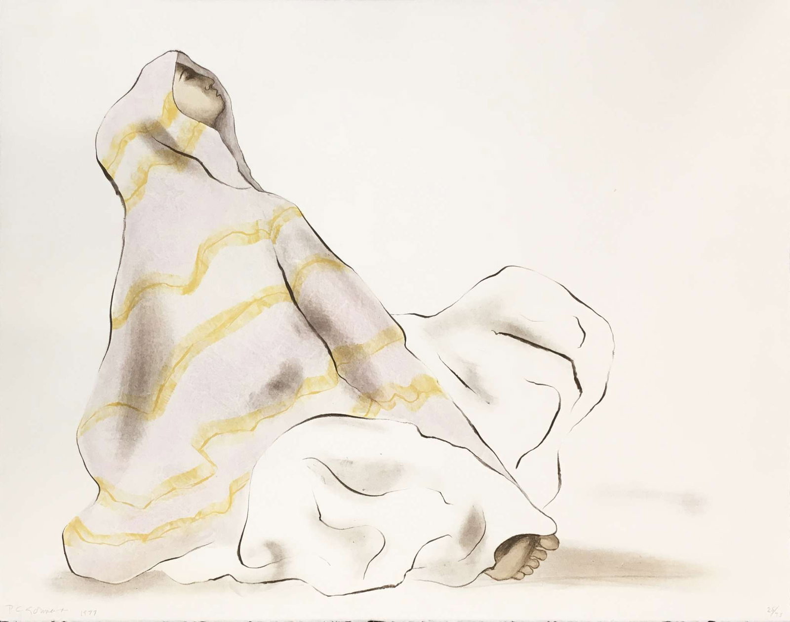 Christo - The Umbrellas II (1 of 1)