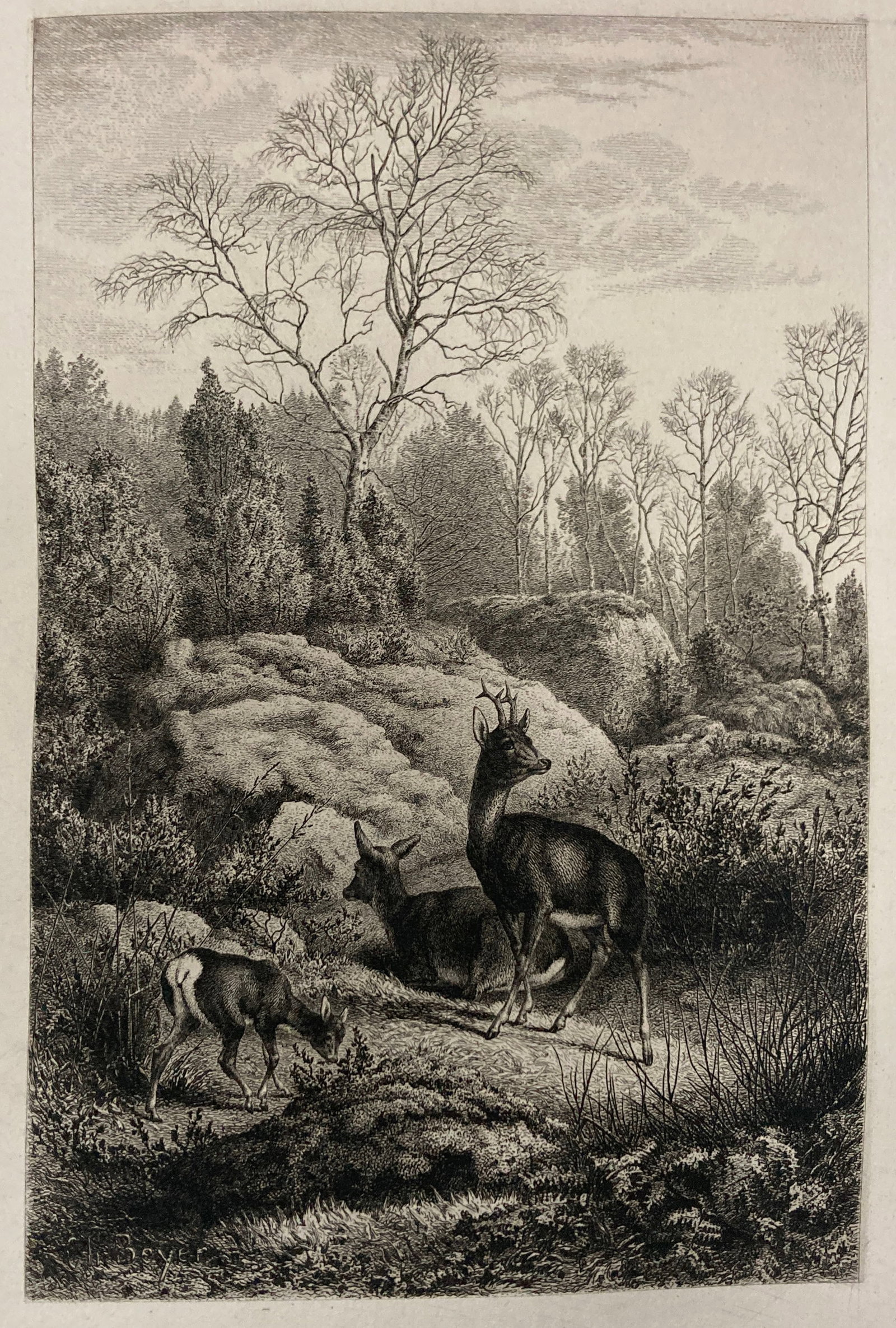 Charles Beyer - In the Forest of Fontainebleau: Artist: Charles Beyer Title: In the Forest of Fontainebleau Year: 1880 Dimensions: 12 x 8 in. Edition: From the Rare Limted Edition Publisher: MacMillan and Co. Suite: Etching and Etchers Medium: