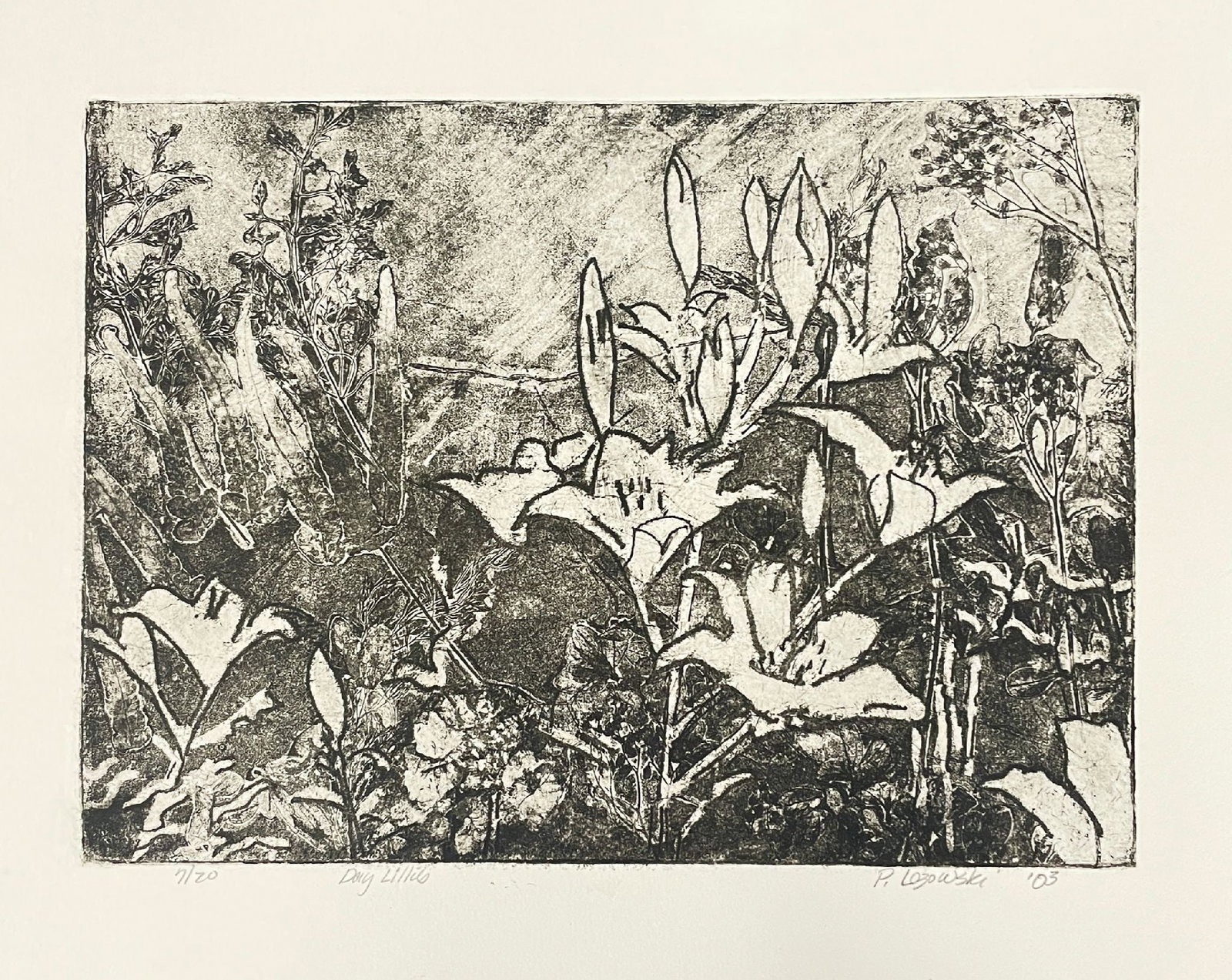 Paul Lozowski - Day Lillies: Artist: Paul Lozowski Title: Day Lillies Year: 2003 Dimensions: 11 x 13 1/4 in. Medium: Original etching on paper Condition: Excellent Signature Details: Hand signed, titled, dated and numbered Comes