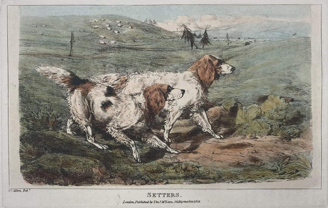 Henry Alken - Setters (1 of 1)