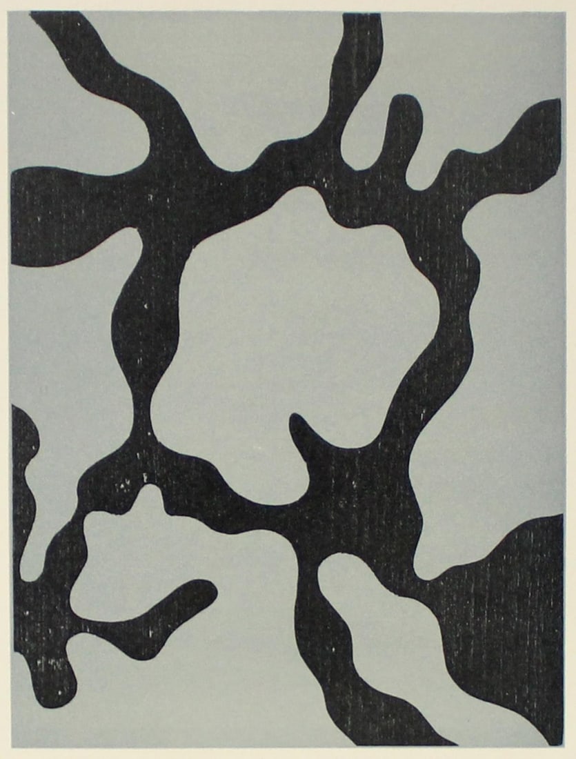 Jean Arp - Relief II: Artist: Jean Arp Title: Relief II Year: 1954 Dimensions: 9 5/8in. by 12 1/4in. Edition: From the Rare Limited Edition of 1500 Publisher: G. di San Lazzaro Suite: XXe Siecle Medium: Lithograph in