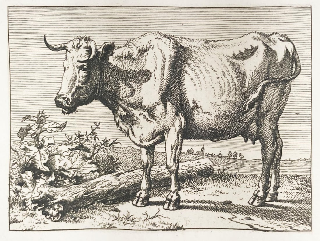 Paulus Potter - Standing Cow: Artist: Paulus Potter Title: Standing Cow Year: 1880 Dimensions: 12in. by 8in. Edition: From the Rare Limted Edition Publisher: MacMillan and Co. Suite: Etching and Etchers Medium: Original etching