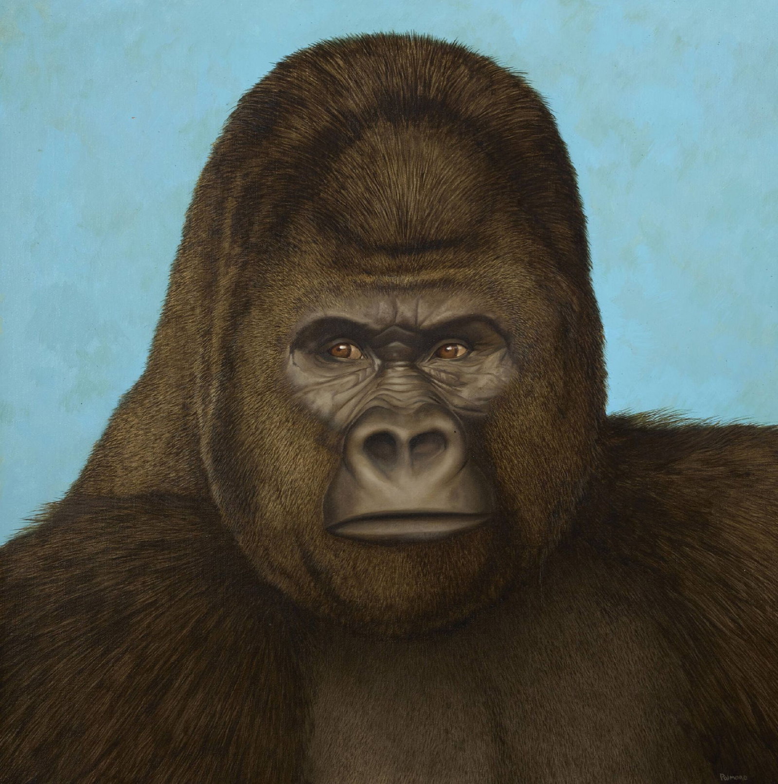 Tom Palmore - Gorilla: Artist: Tom Palmore Title: Gorilla Dimensions: 24 x 24 in. Edition: Original work of art Medium: Oil on canvas Condition: Excellent Signature Details: Signed to lower right Comes with Letter of