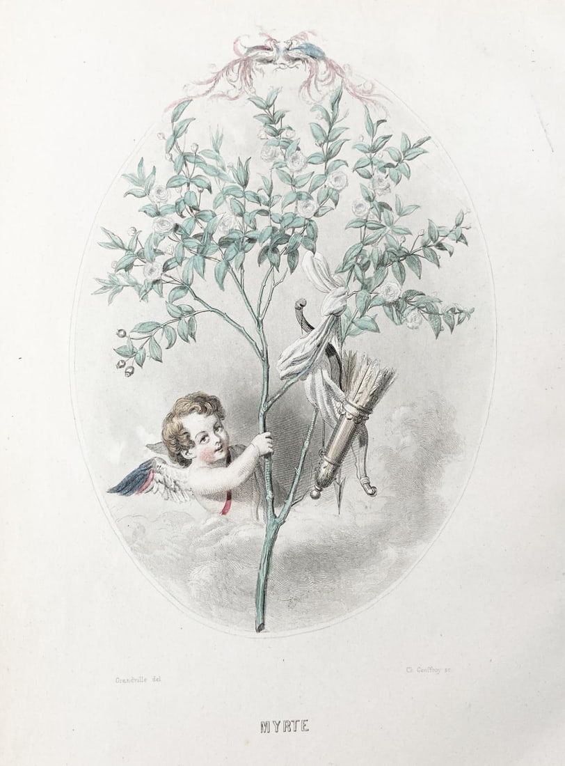 J.J. Grandville - Myrte: Artist: J.J. Grandville Title: Myrte Year: 1842 Dimensions: 10.5in. by 6.5in. Edition: From the rare limited edition Publisher: Etudes De Moeurs Contemporaines Suite: Grandville et Les Animaux