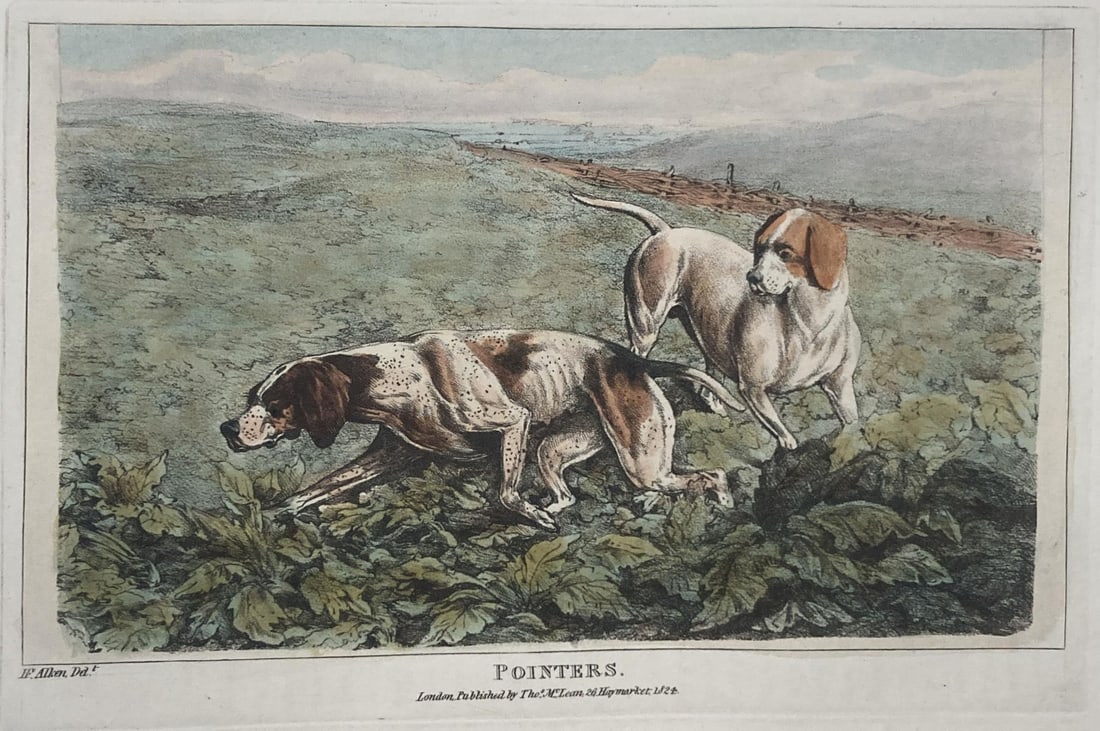 Henry Alken - Pointers: Artist: Henry Alken Title: Pointers Year: 1825 Dimensions: 10in. by 14. Edition: From the Rare Limited Edition Publisher: Howlett and Brimmer Suite:<