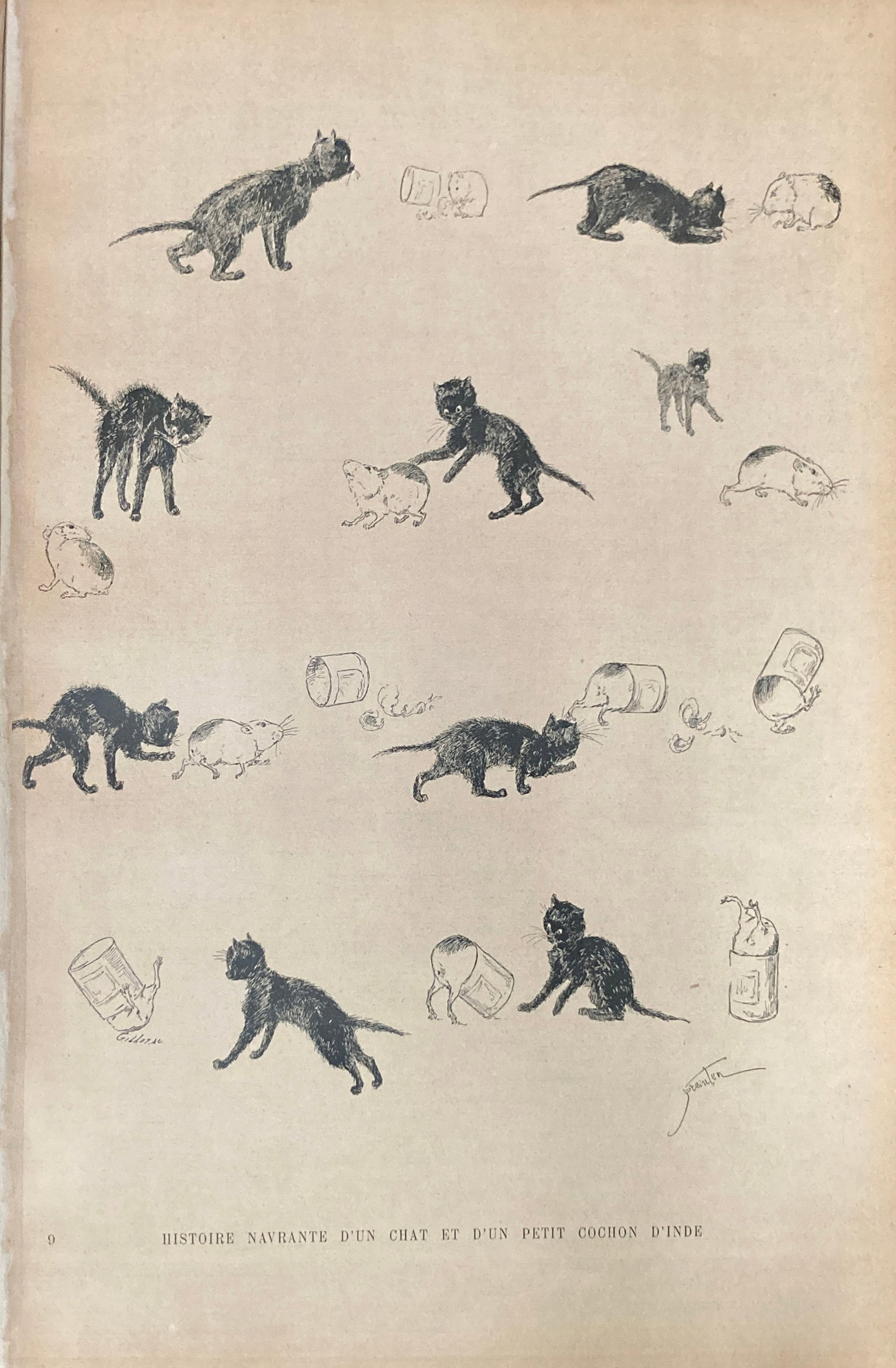 Theophile Alexandre Steinlen - Bistoire Navrante Dun Chat Et Dun Petit Cochon Dinde (1 of 1)
