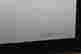 item-50911881=2