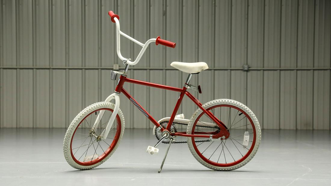 Valvoline Sport BMX Bicycle (1 of 20)