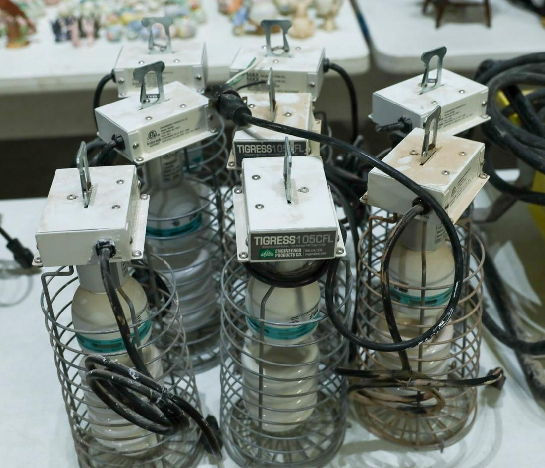 7 Temporary Light Fixtures With Bulbs: 7 Temporary Light Fixtures With Bulbs - Offered Without ReserveTigress 105CFL, purchased new in 2017/used for 2 years then placed into storage