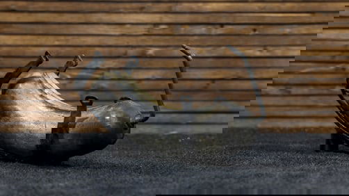 Cord 810-812 Air Bag Tire Inflator