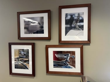 Hood Ornament/Mascot Framed Photo Collection