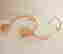 item-63252067=3