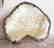 Collectible Item Mother Pearl/Multi-Color/Silver 925