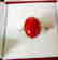 Anniversary Ring Diamond Red Coral 6.46Ct 14k W/g