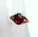 Anniversary Ring Natural Diamond Garnet 3.20Ct 14k Y/g