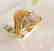 Creation Diamonds Ring 1.00Ct 18k W-Y/g Overlay - 2