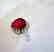 Creation Daimond Ruby Ring 7.61Ct 18k W/g Overlay - 3