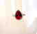Creation Daimond Ruby Ring 7.16Ct 18k W/g Overlay - 4
