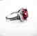 Creation Daimond Ruby Ring 7.61Ct 18k W/g Overlay - 4