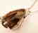 Smoky Topaz Pendant 28.99CT 26x22x13mm - 3