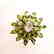Peridot &White Topaz Ring 7.39Ct 18k W/g Overlay