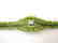 Peridot &White Topaz Bracelet 47.18Ct 18k W/g Overlay - 2