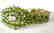 Peridot &White Topaz Bracelet 47.18Ct 18k W/g Overlay - 3