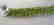 Peridot &White Topaz Bracelet 47.18Ct 18k W/g Overlay - 6