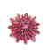 Natural Ruby Ring 3.91Carat 18k W/g Overlay