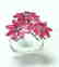 Natural Ruby Ring 5.54Ct 18k W/g Overlay - 2