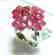 Natural Ruby Ring 8.64Ct18k W/g Overlay - 2
