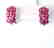Natural Ruby Earrings 16.22Ct18k W/g Overlay