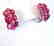 Natural Ruby Earrings 16.22Ct18k W/g Overlay - 2